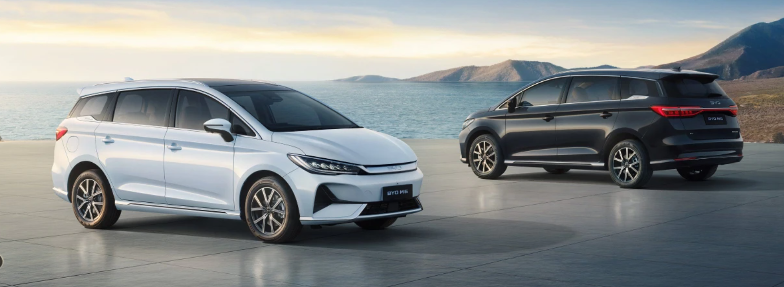 BYD M6 DM